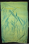 1061s.jpg (19669 bytes)