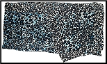 923s.jpg (25832 bytes)