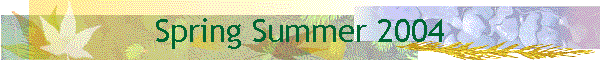 Spring Summer 2004