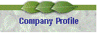 Company Profile