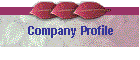 Company Profile