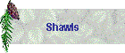 Shawls