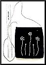 Kaa044s.JPG (4185 bytes)